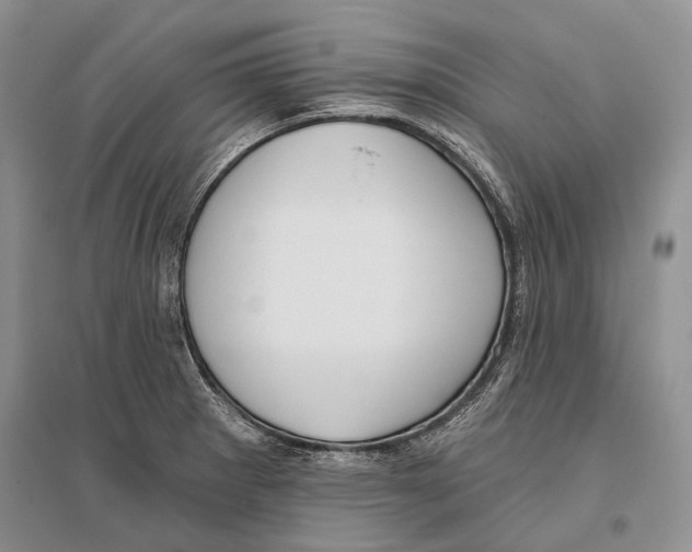 X0000096431281200802211138
