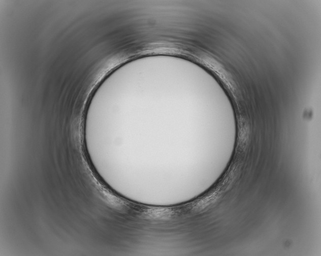 X0000096431282200802211138