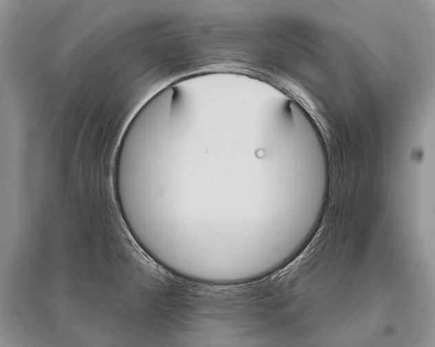 X0000096431284200802211138