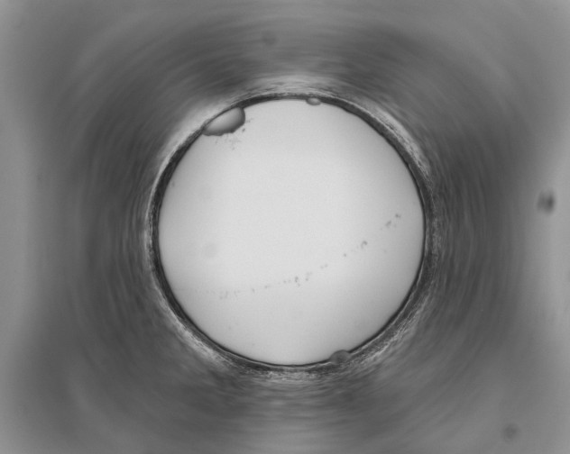 X0000096431285200802211138