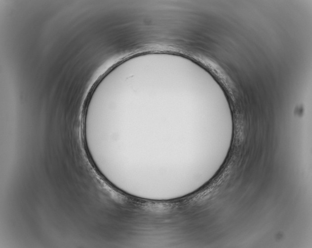 X0000096431286200802211138