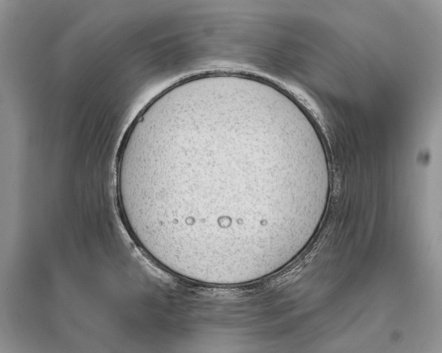 X0000096431287200802211138