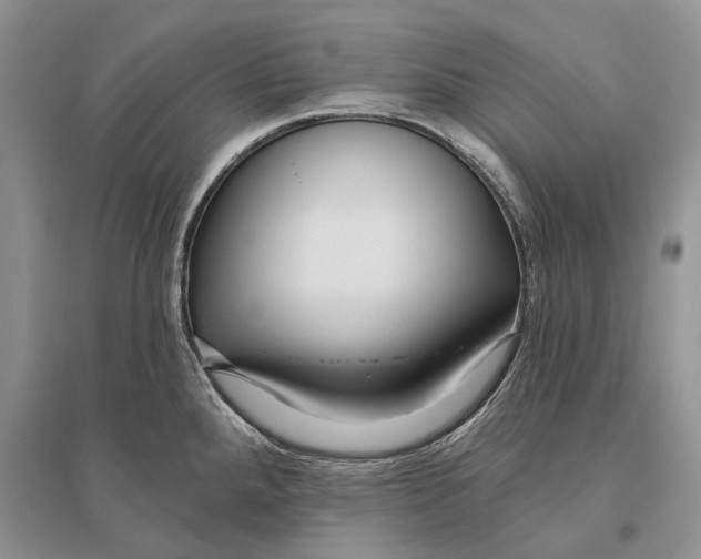 X0000096431288200802211138
