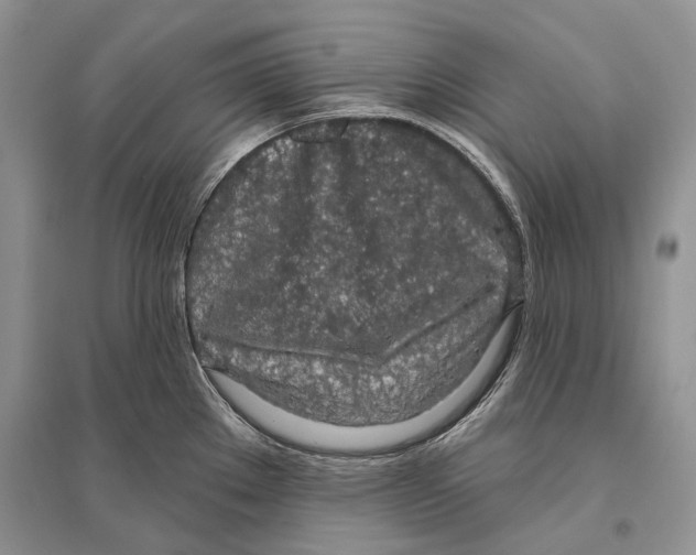 X0000096431289200802211138