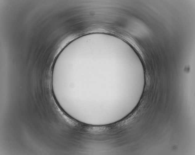 X0000096431290200802211138