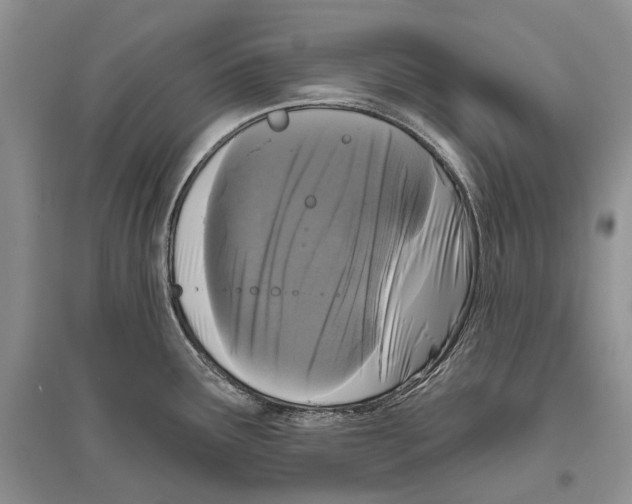 X0000096431291200802211138