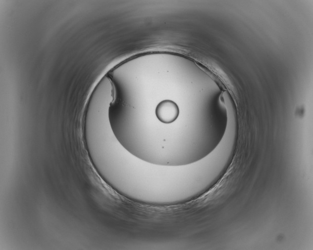 X0000096431292200802211138