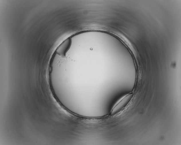 X0000096431293200802211138