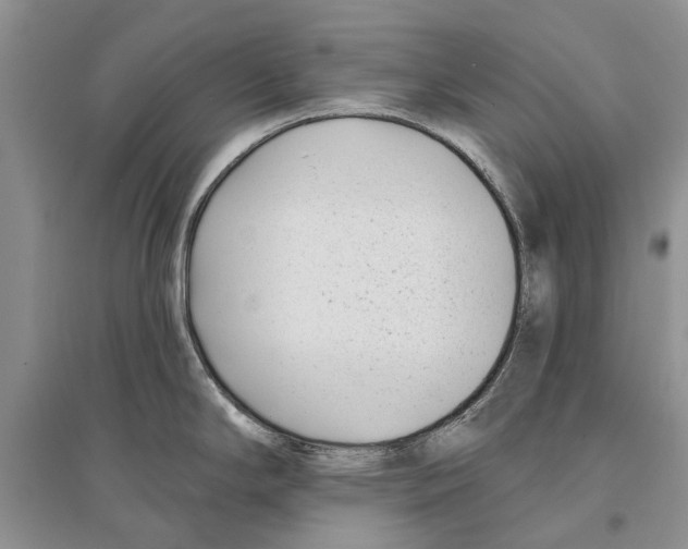 X0000096431294200802211138