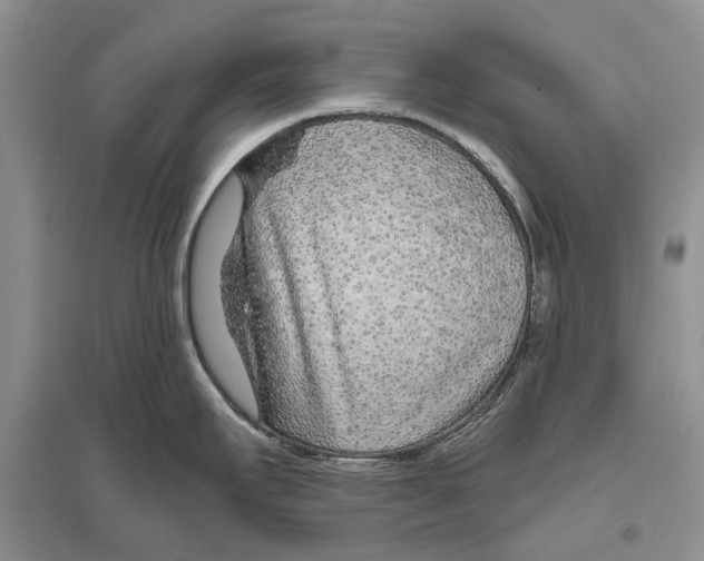 X0000096431295200802211138