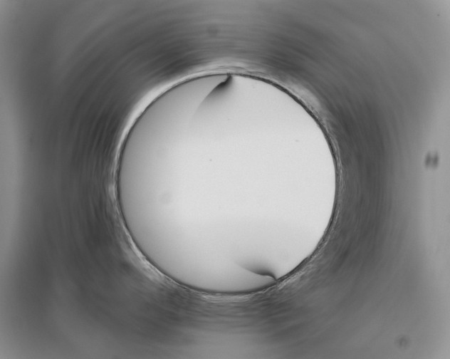 X0000096431296200802211138