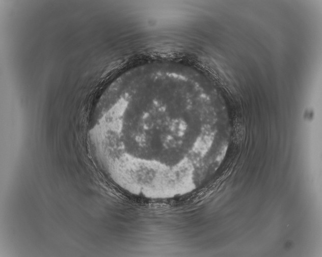 X0000096431297200802211137
