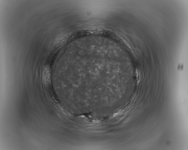 X0000096431298200802211137