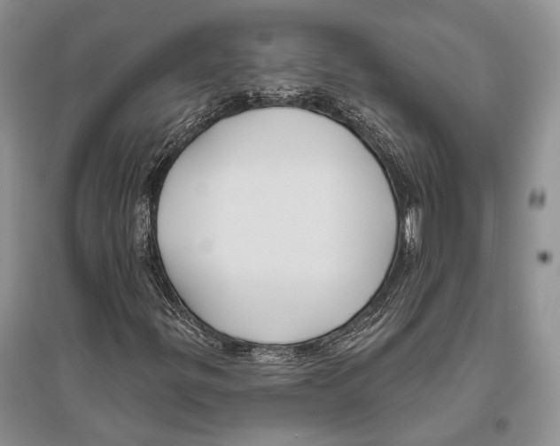 X0000096431299200802211137