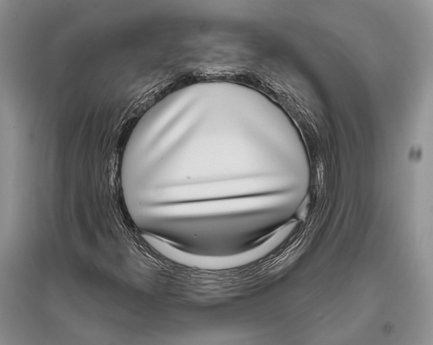 X0000096431300200802211137