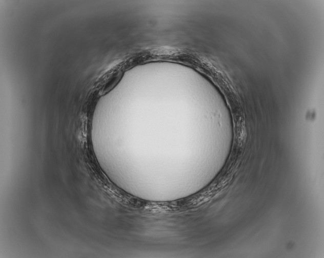 X0000096431301200802211137