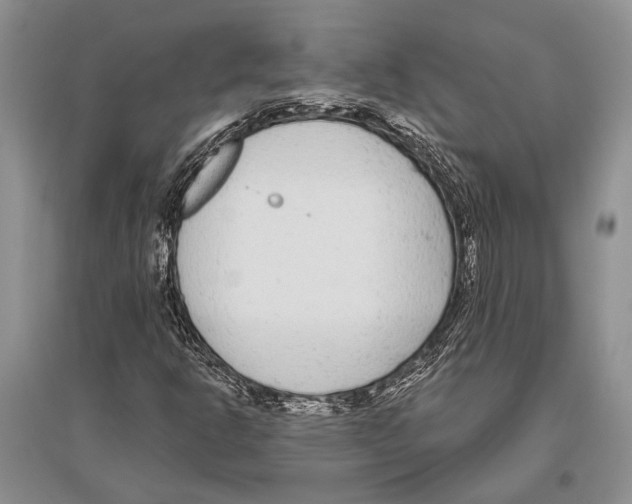 X0000096431302200802211137