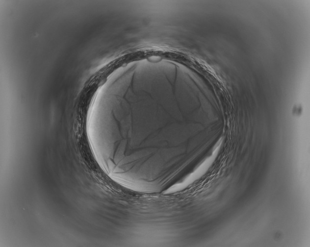 X0000096431303200802211137