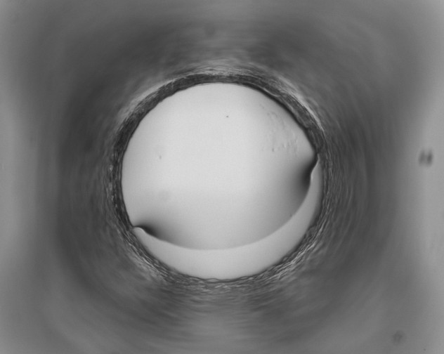 X0000096431304200802211137