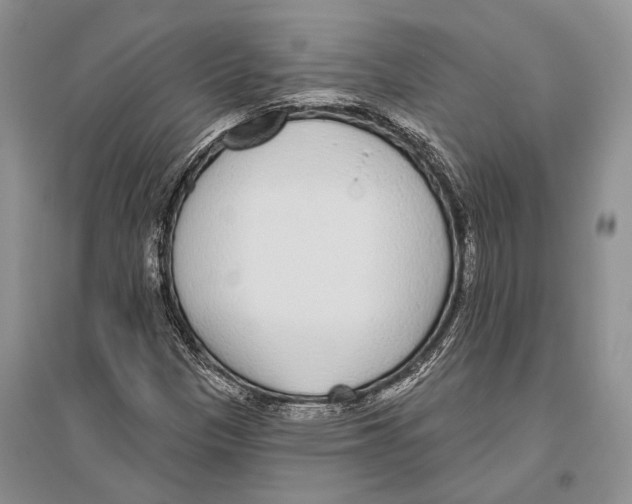 X0000096431305200802211137