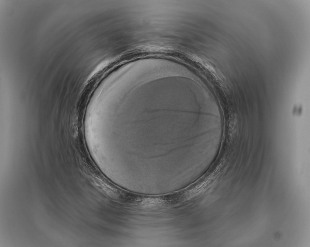 X0000096431306200802211137
