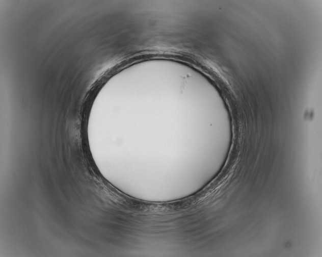 X0000096431307200802211137