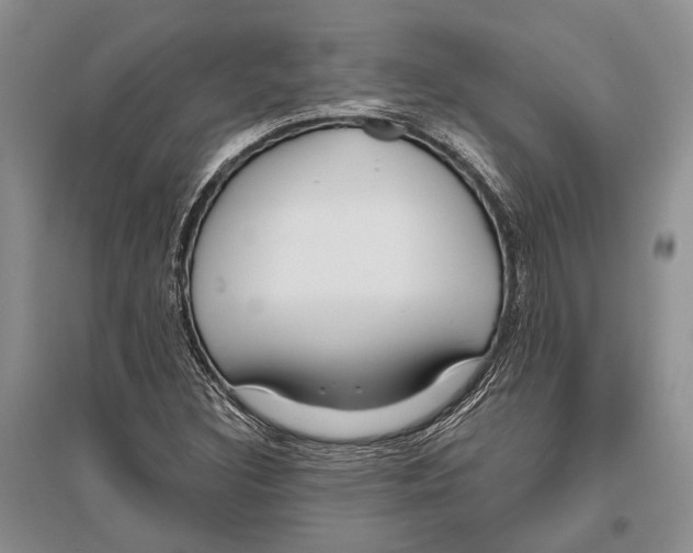 X0000096431308200802211137