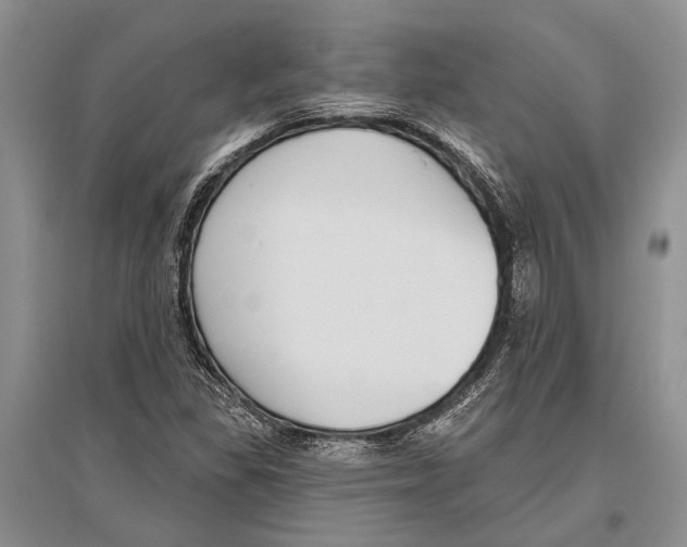 X0000096431309200802211137