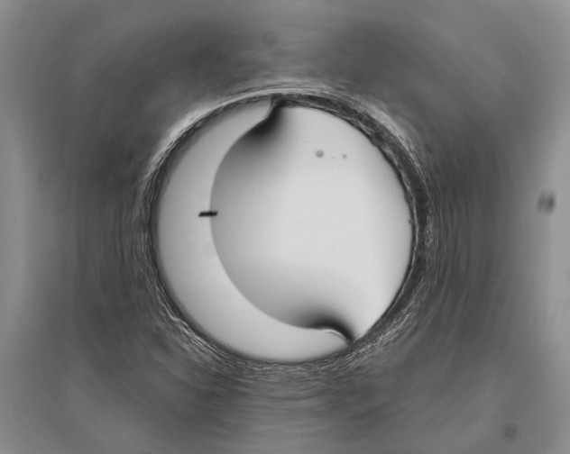 X0000096431310200802211137