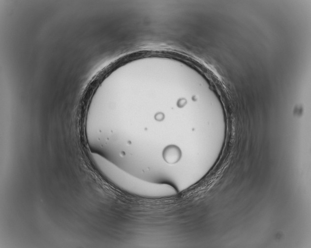 X0000096431311200802211137
