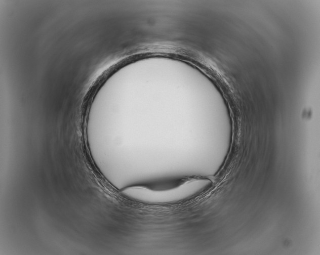 X0000096431312200802211137