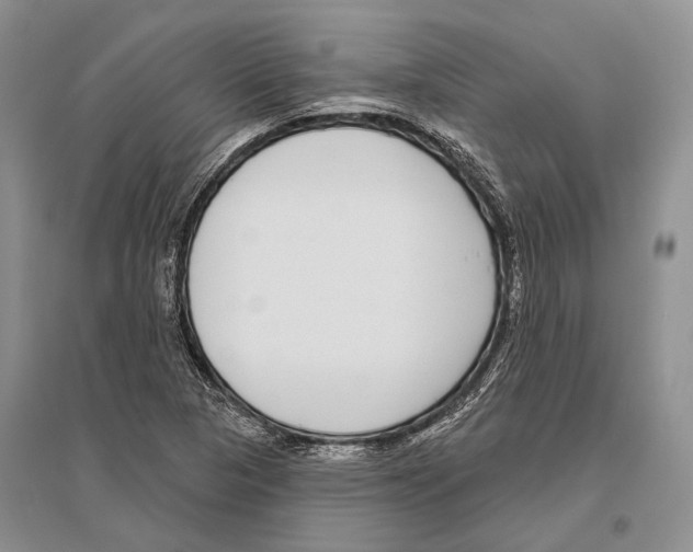 X0000096431313200802211137
