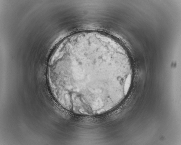 X0000096431314200802211137