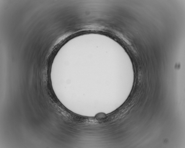 X0000096431315200802211137