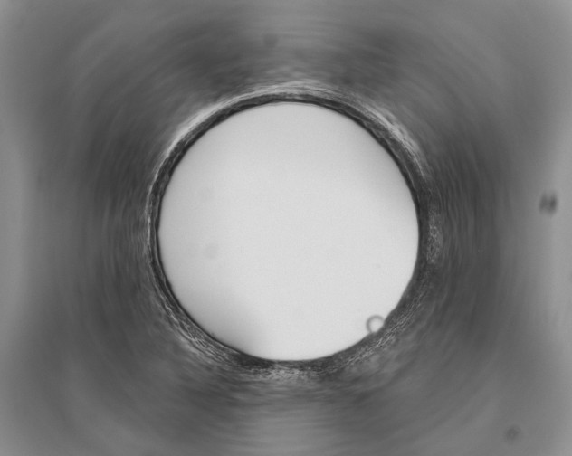 X0000096431316200802211137