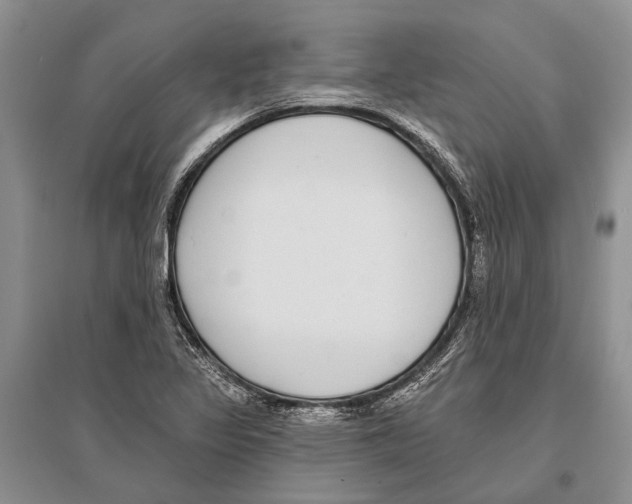 X0000096431317200802211137