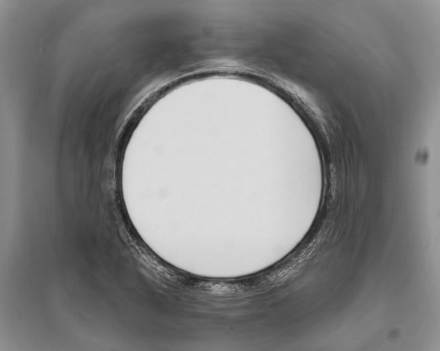 X0000096431318200802211137