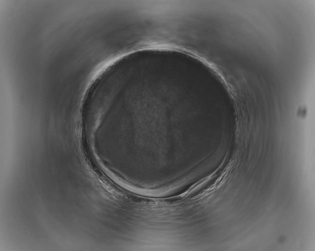 X0000096431319200802211137