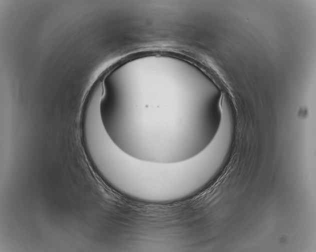 X0000096431320200802211137