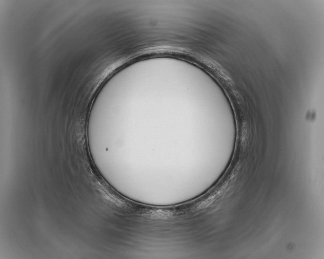 X0000096431321200802211137