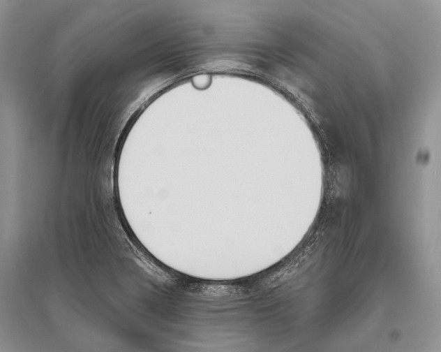 X0000096431322200802211137