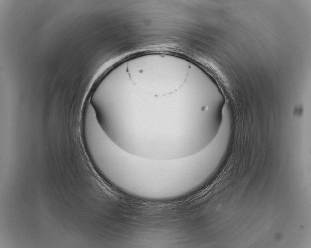 X0000096431324200802211137