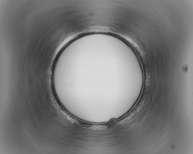 X0000096431325200802211137