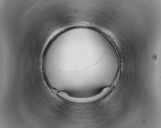 X0000096431326200802211137