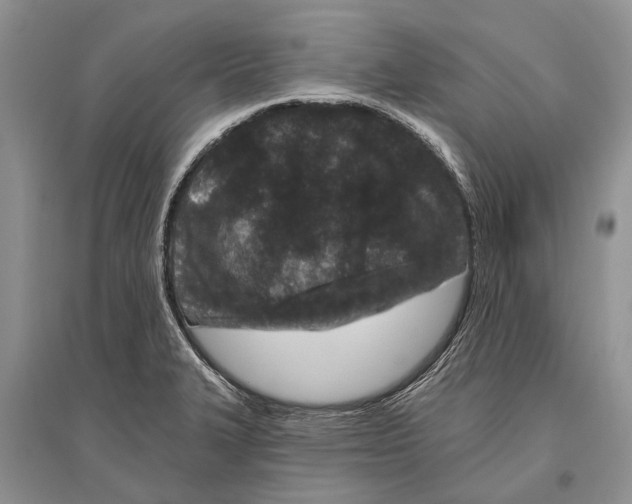 X0000096431327200802211137