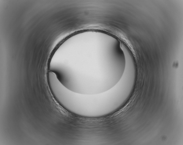 X0000096431328200802211137