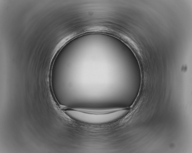 X0000096431330200802211137