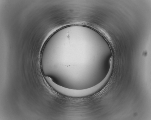 X0000096431332200802211137