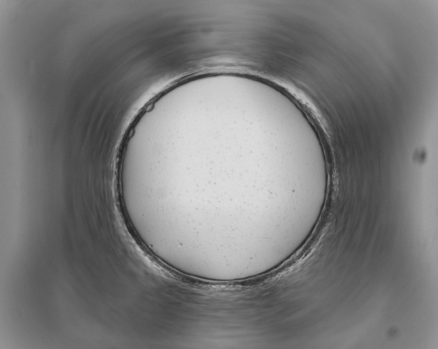 X0000096431333200802211137