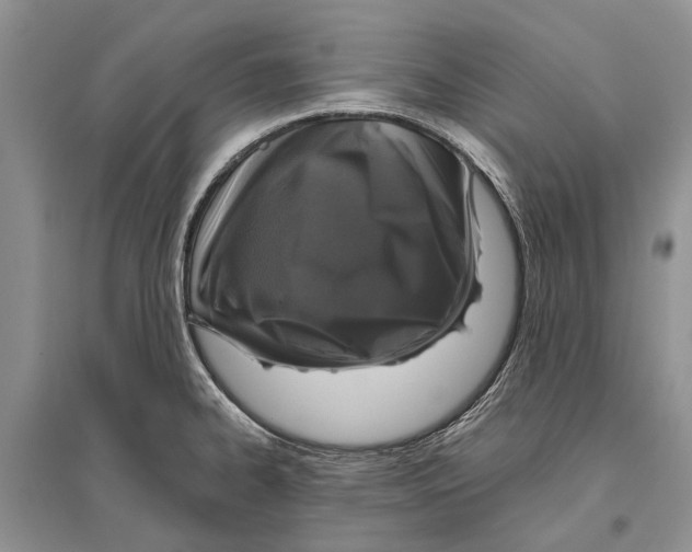 X0000096431334200802211137